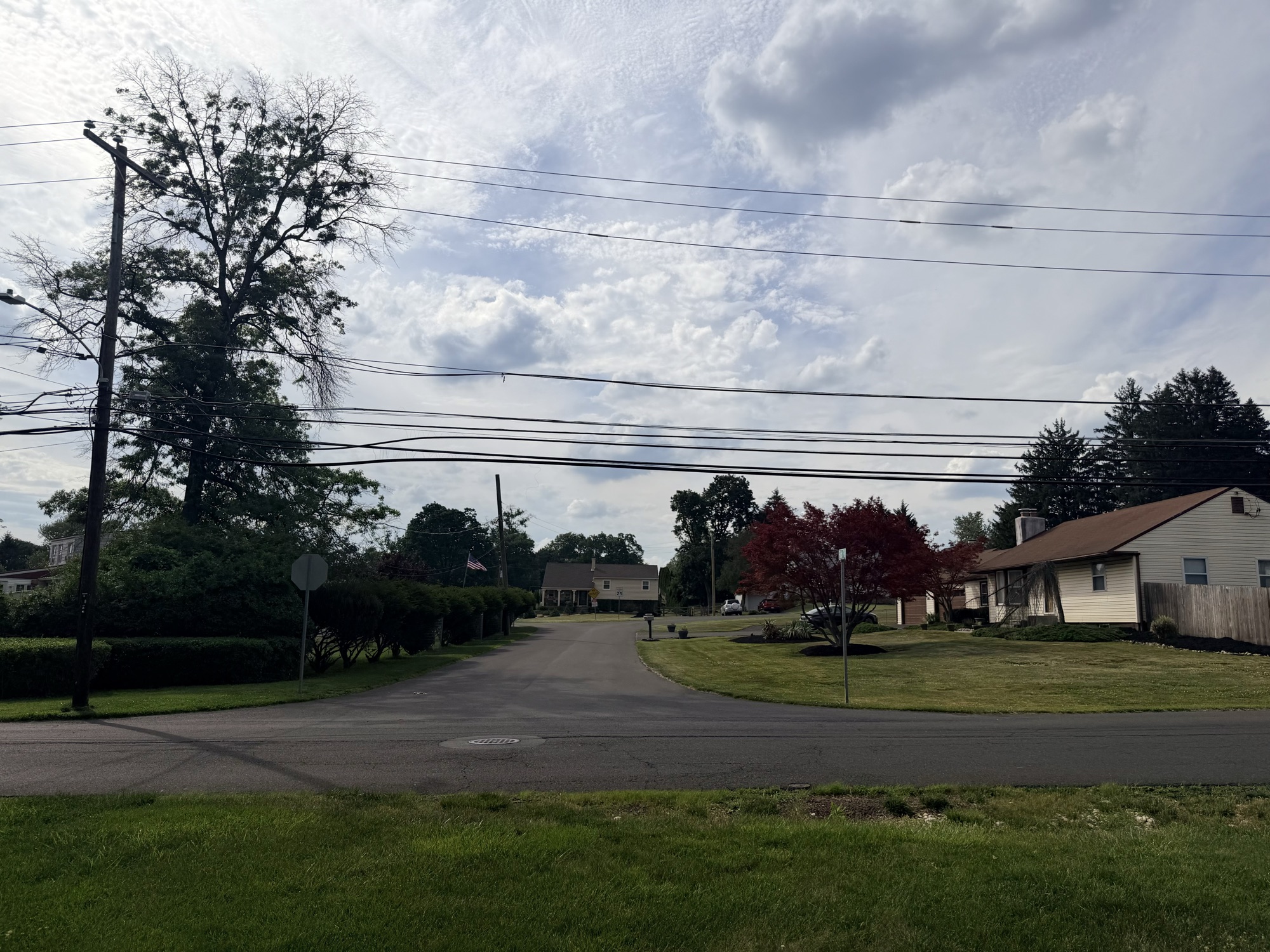 Homes along Rick Road on a bright, quiet morning